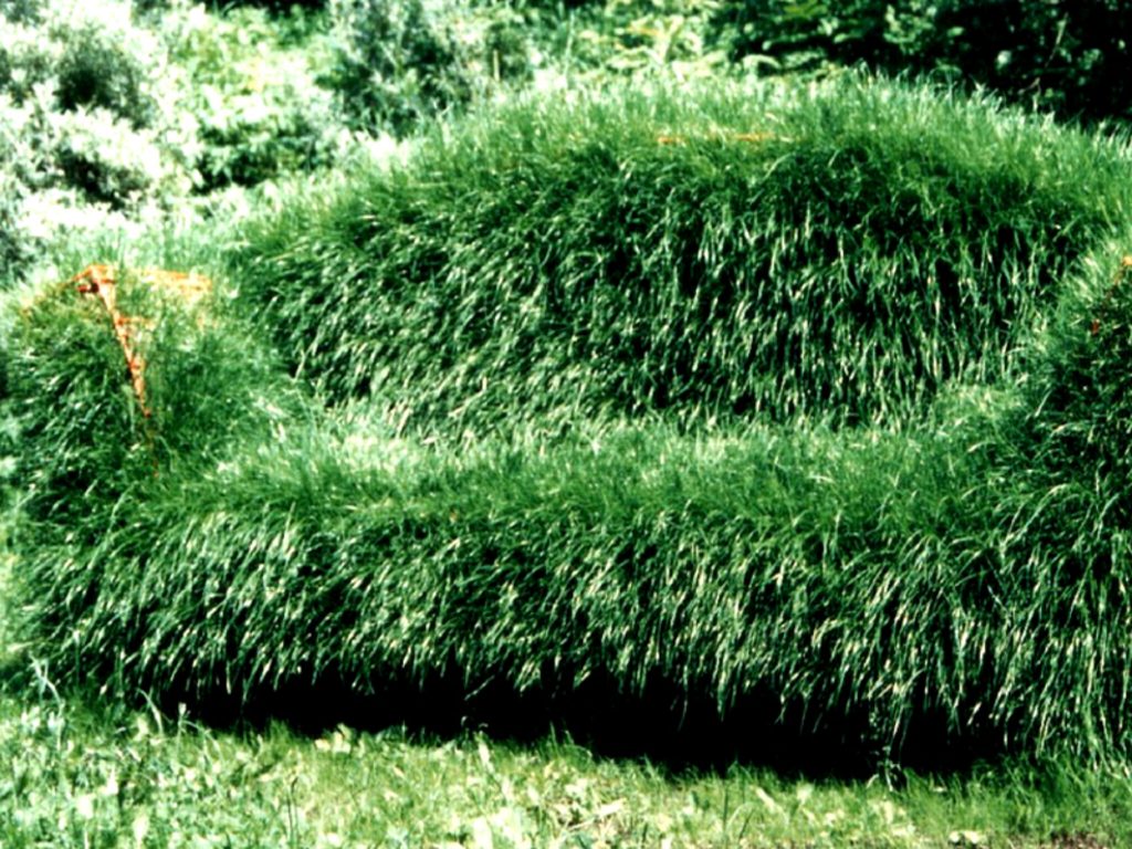 Künstlergärten Bank