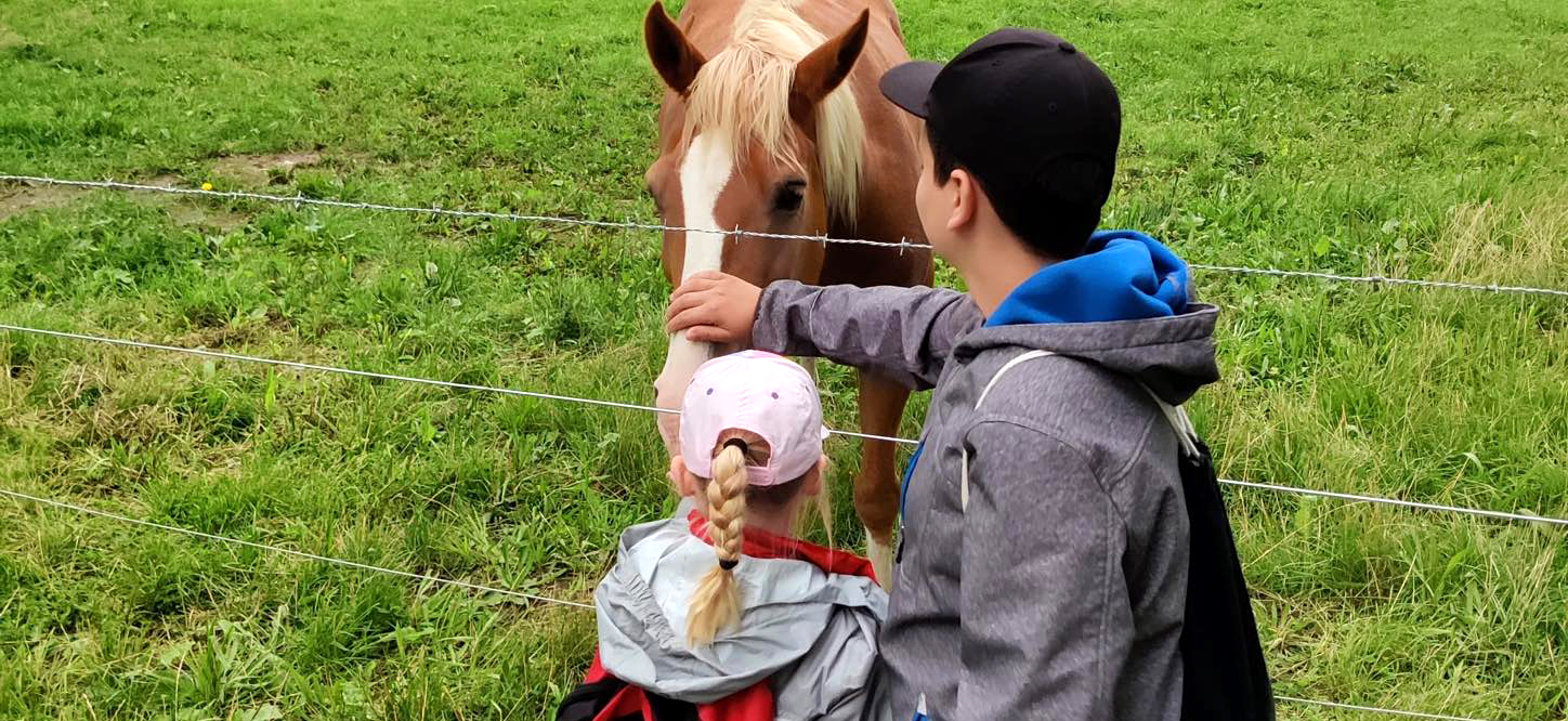 Kinder mit Pferd