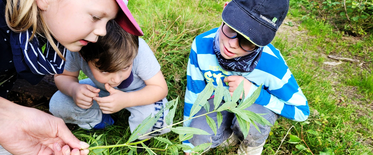 Kinder_im_Wald_bearb